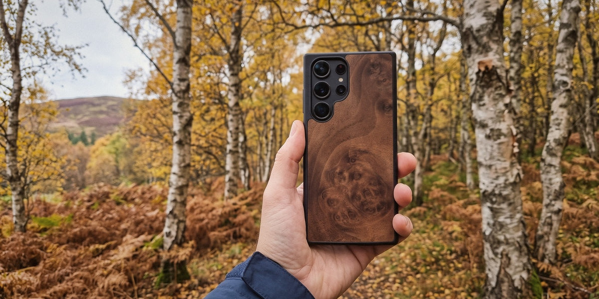 Walnut Burl wood Samsung Galaxy case held up in an autumn birch wood